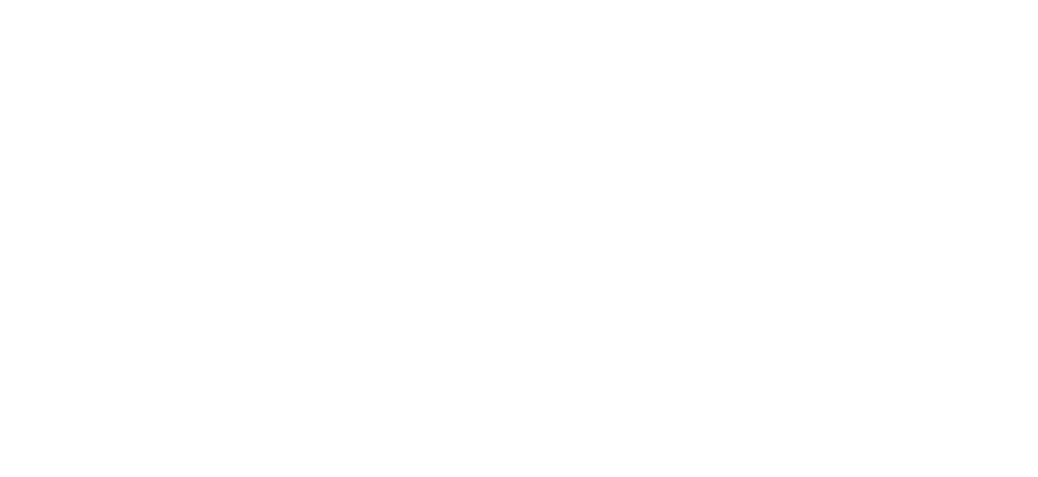 SV Angel